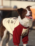 Large dog in a red and cream fleece dog sweatshirt with cartoon bears.