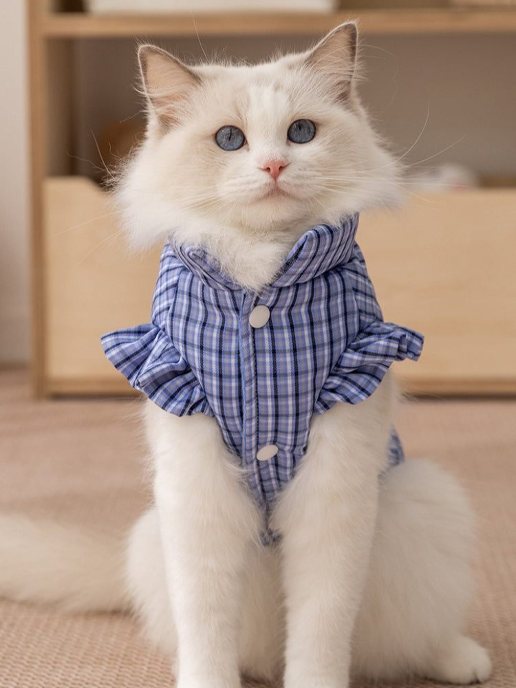A cat wearing a blue plaid pet vest with ruffled sleeves and a stand-up collar.