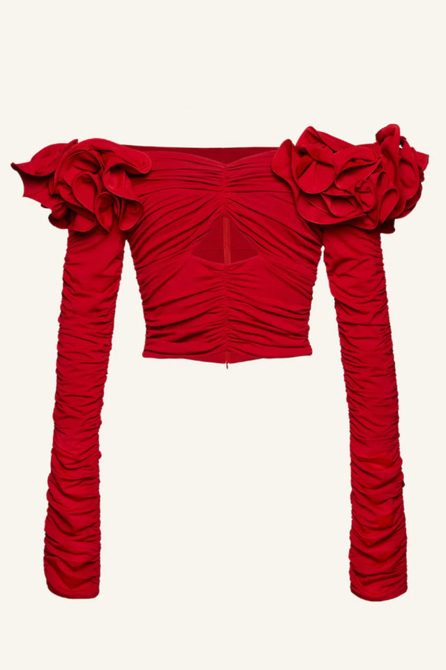 Floral Appliquéd Ruched Crop Top | Dress In Beauty