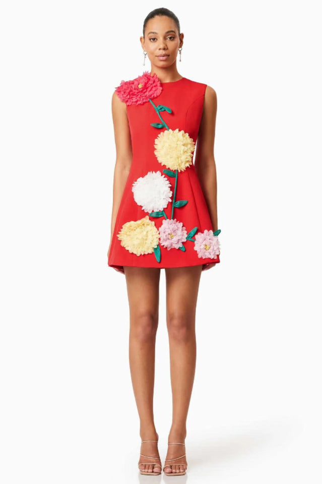Sibyl Floral Applique Sleeveless Mini Dress | Dress In Beauty