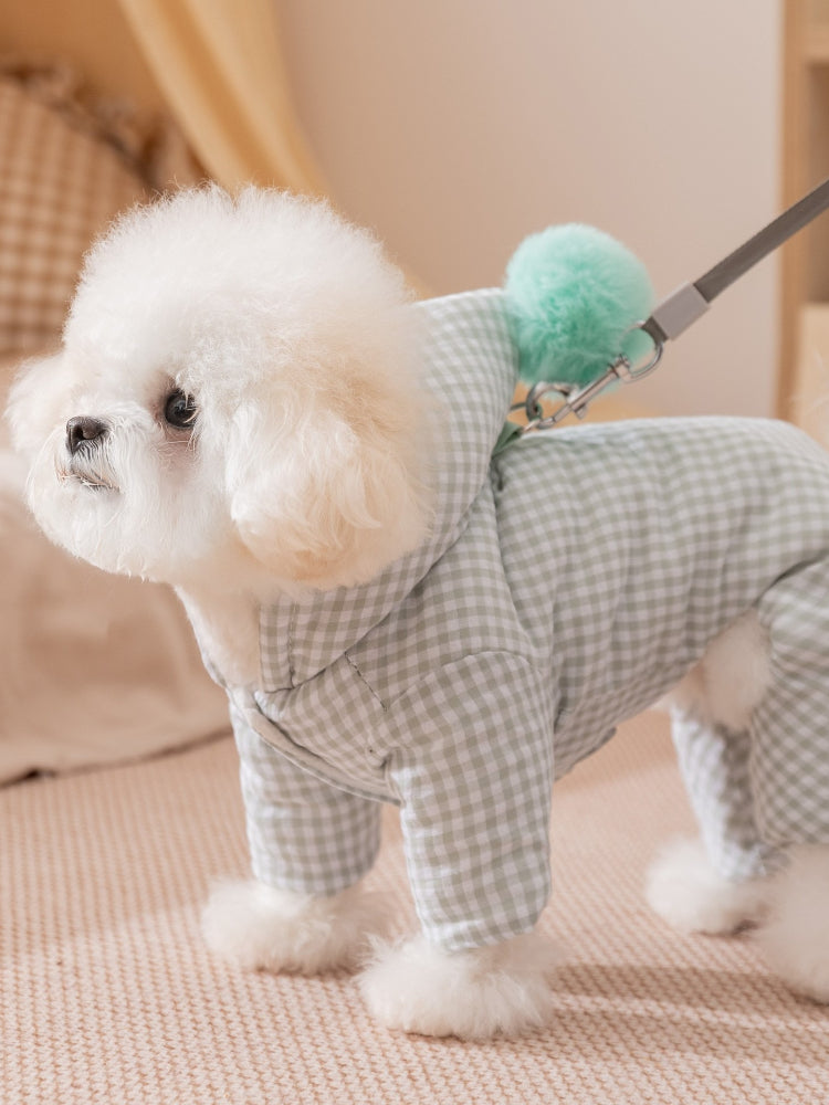 Close-up side view of a white Bichon Frise dog wearing a light green gingham hooded jumpsuit with a light green pom-pom, with a leash attached