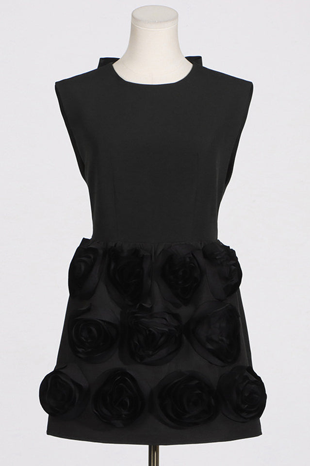 Rose Applique Mini Dress | Dress In Beauty