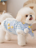 Side view of a white Bichon Frise dog standing and wearing a blue and white striped dog coat with yellow star appliques and faux fur trim.
