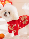 Side view of a small white dog wearing a red knit sweater with Chinese characters