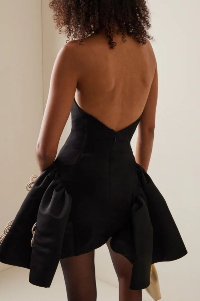 Leona Floral Applique Corset Mini Dress | Dress In Beauty