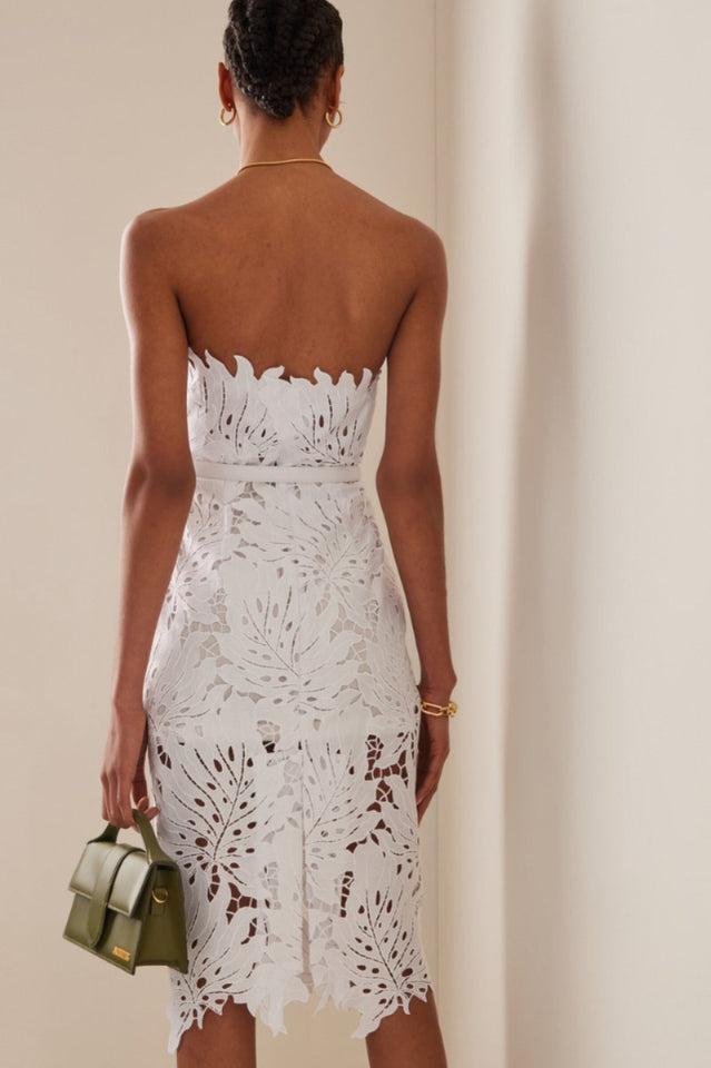 Paulina Lace Midi Dress | Dress In Beauty