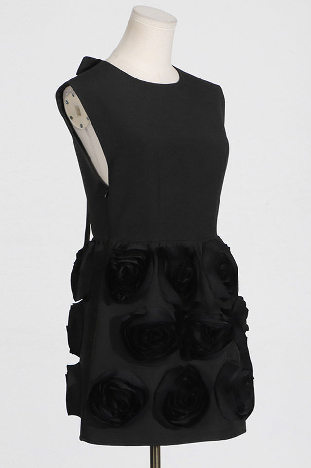 Rose Applique Mini Dress | Dress In Beauty