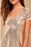 Light Up the Night Sequin Shift Dress | Dress In Beauty