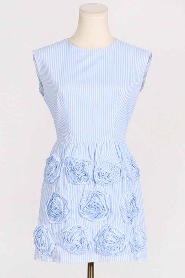 Rose Applique Mini Dress | Dress In Beauty