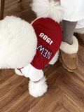 Close-up of the back of a white Bichon Frise dog wearing a red 
