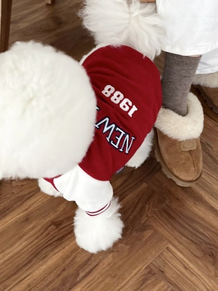 Close-up of the back of a white Bichon Frise dog wearing a red "New York 1988" jacket.