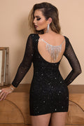 Sequin Long Sleeve Mini Dress | Dress In Beauty