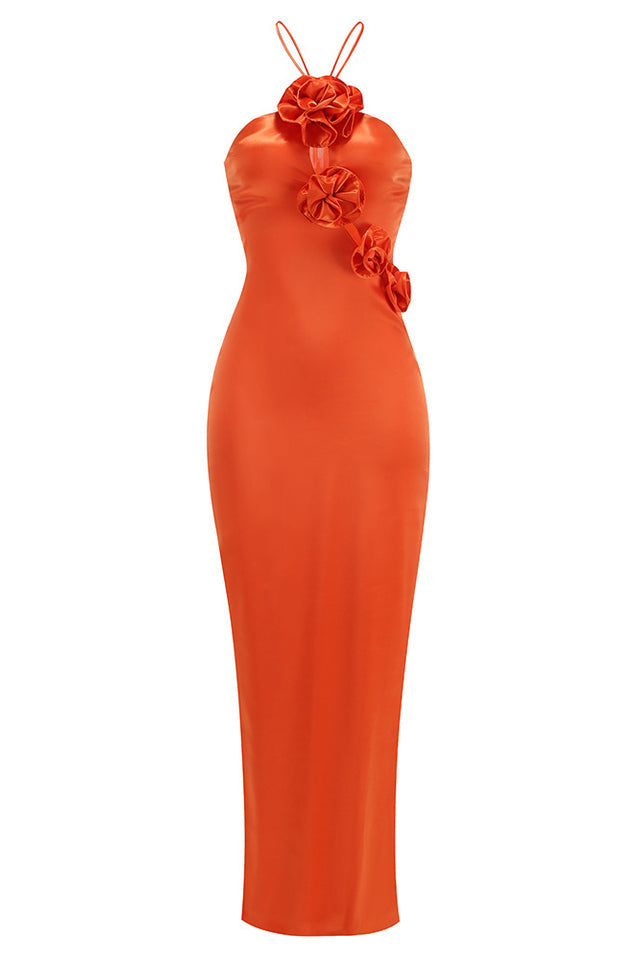 Liri Maxi Dress | Dress In Beauty