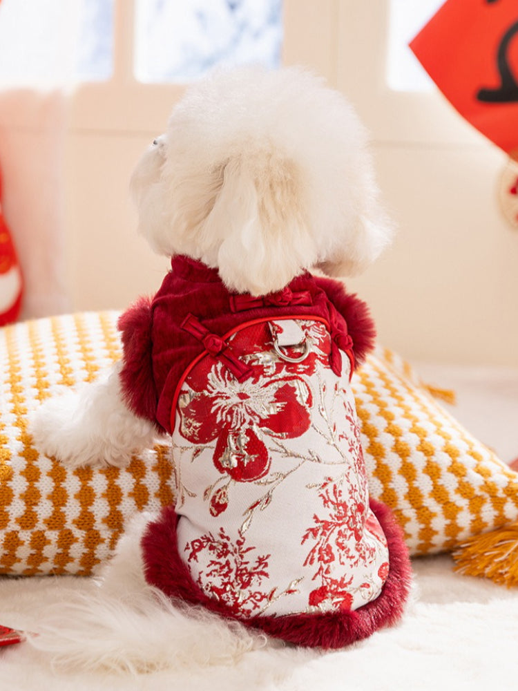 Back view of a white dog wearing a red and white traditional Chinese style dog jacket with floral and dragon embroidery and red faux fur trim.
