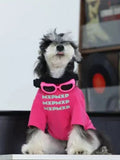 A Miniature Schnauzer dog with its tongue out, wearing a bright pink t-shirt and pink sunglasses