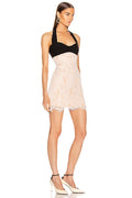 Crepe Paneled Lace Halterneck Mini Dress | Dress In Beauty