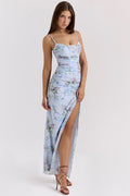 Blue Floral Print Mesh Maxi Dress | Dress In Beauty