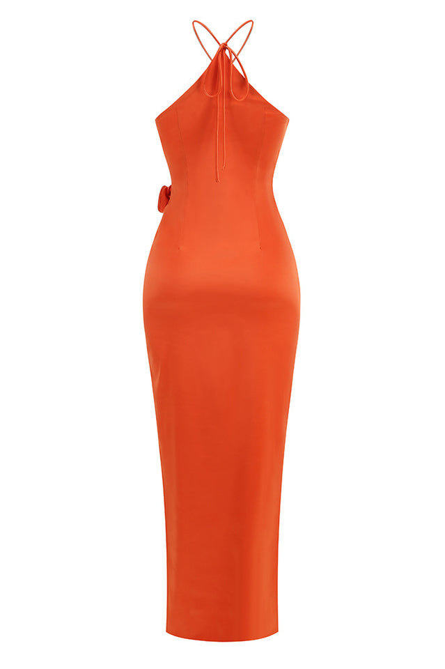 Liri Maxi Dress | Dress In Beauty