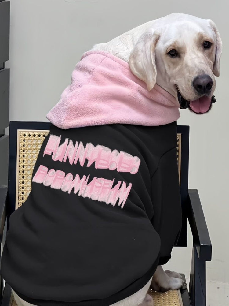 Side view of a Labrador Retriever dog in a black hooded sweatshirt with pink text.