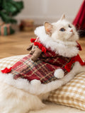 A white cat with blue eyes sits on a cushion, wearing a Christmas cape with reindeer antlers and a white fuzzy collar.