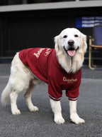 Side view of a Golden Retriever in a red fleece dog hoodie