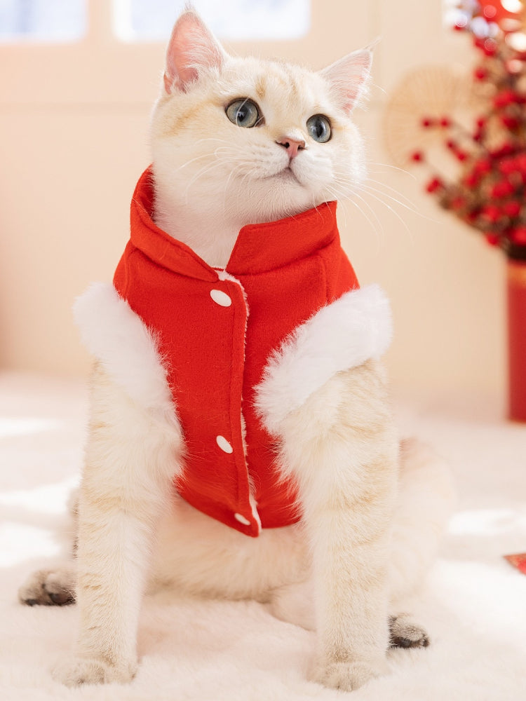White cat wearing a red pet Tang suit vest with white faux fur trim