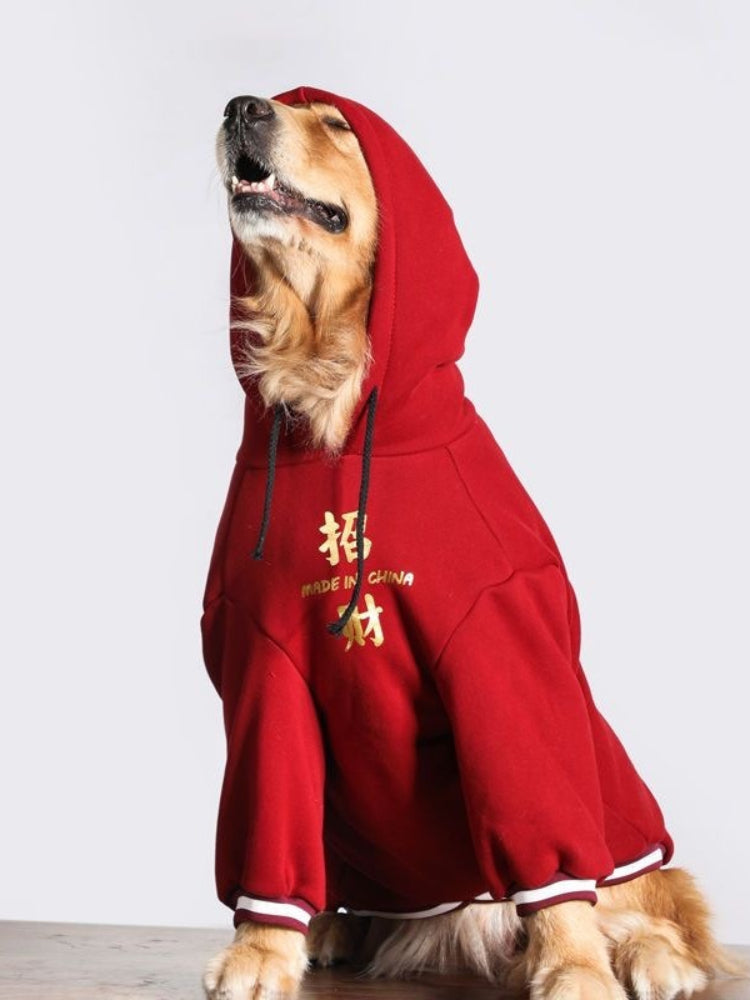 Close-up of a Golden Retriever dog wearing a red hooded sweatshirt, looking upwards.