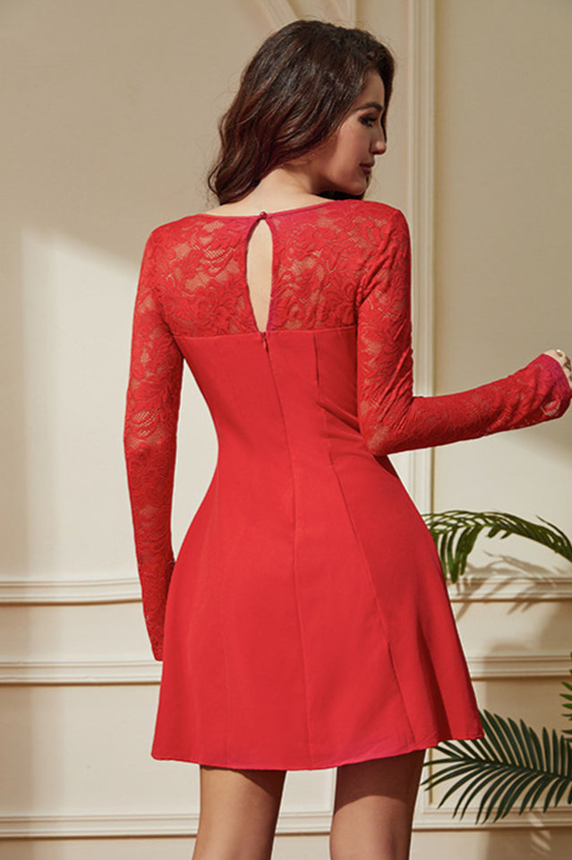 A-Line Lace Mini Dress | Dress In Beauty