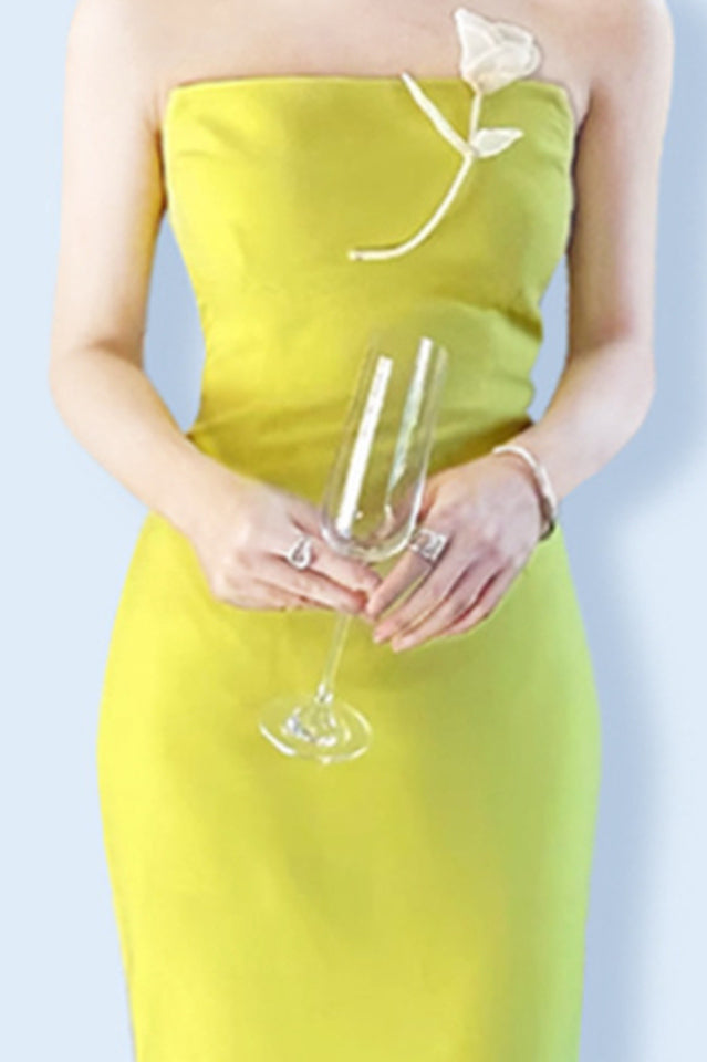 Aishwarya Flower Embellished Maxi Dress | Dress In Beauty