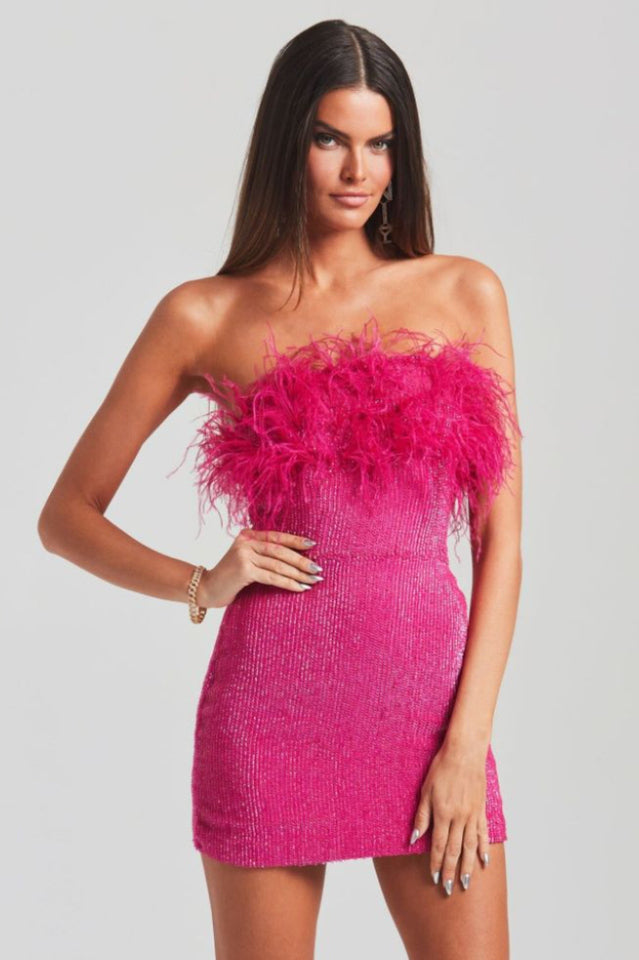 Torin Sequin Feather Dress | Dress In Beauty