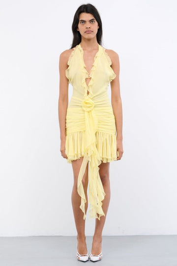 Rose Detailed Halterneck Mini Dress | Dress In Beauty