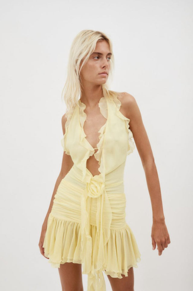 Rose Detailed Halterneck Mini Dress | Dress In Beauty