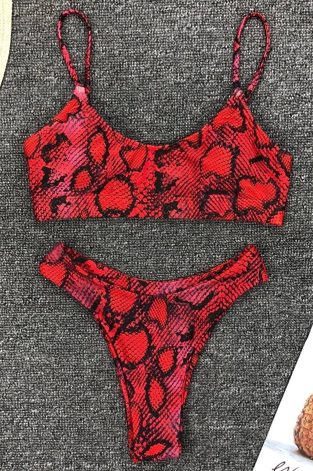 Leopard Print Bikini Set (Multicolor) - Dress In Beauty