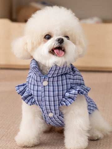 Small white dog wearing a blue plaid dog vest with ruffled trim