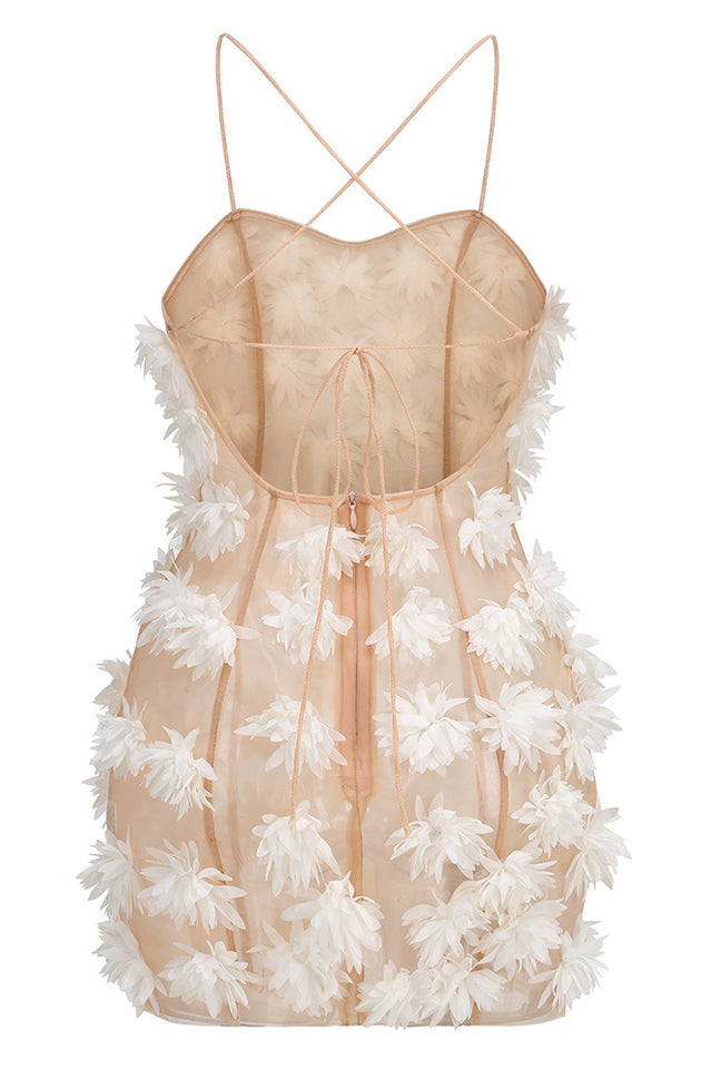 Floral Detail Mesh Dress | Dress In Beauty