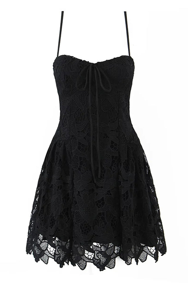 Coco Lace Sleeveless Mini Dress | Dress In Beauty