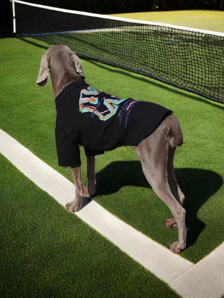 Weimaraner dog wearing a black t-shirt with a colorful graphic print and a silver chain, standing on grass next to a tennis net, showing the back of the shirt.