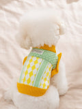 Back view of a small white dog wearing a green and yellow knit sweater with argyle pattern