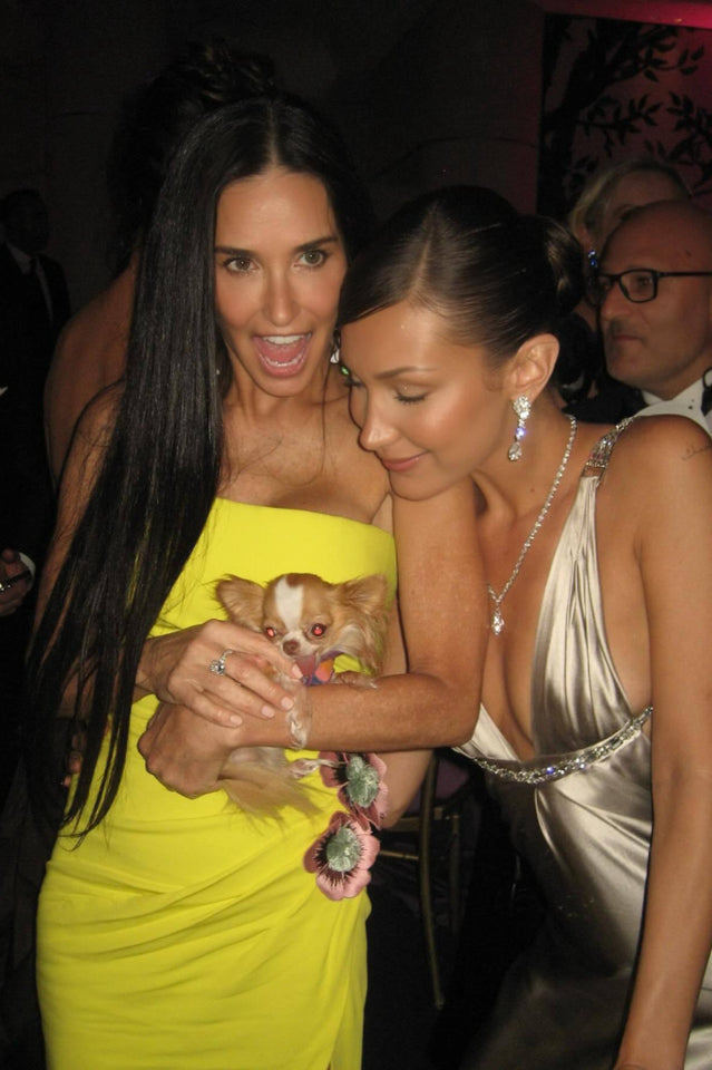 Floral Applique Dress | Dress In Beauty