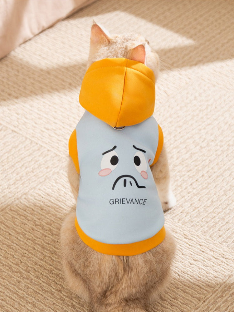 Close-up of the back of a cat wearing a blue and yellow hooded pet garment.