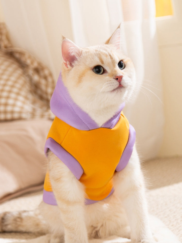 Cat wearing a yellow and purple hooded pet vest with a cartoon face graphic.