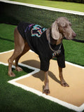 Weimaraner dog wearing a black t-shirt with a colorful graphic print and a silver chain, standing on a mat in front of a soccer net.