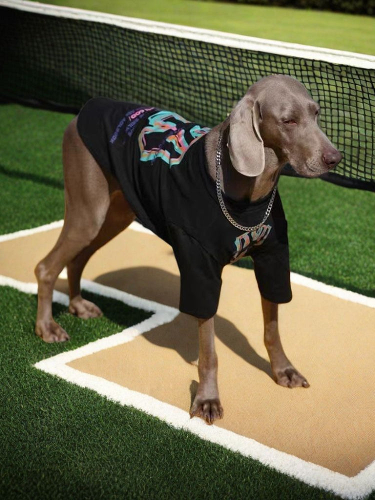Weimaraner dog wearing a black t-shirt with a colorful graphic print and a silver chain, standing on a mat in front of a soccer net.