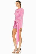 Fran Pink Mini Dress | Dress In Beauty