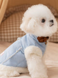 Close-up of a white dog wearing a blue faux suede vest with a brown collar detail