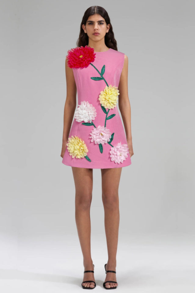 Sibyl Floral Applique Sleeveless Mini Dress | Dress In Beauty
