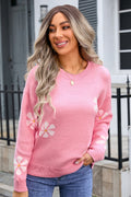 Round Neck Long Sleeve Sweater | Dress In Beauty
