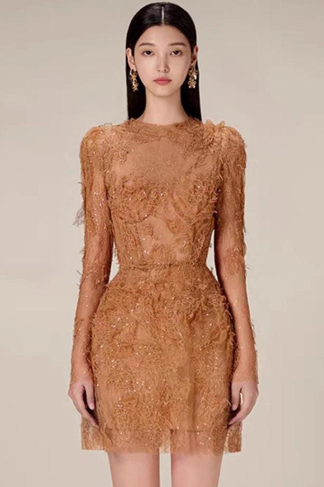 Honey Beaded Lace Mini Dress | Dress In Beauty