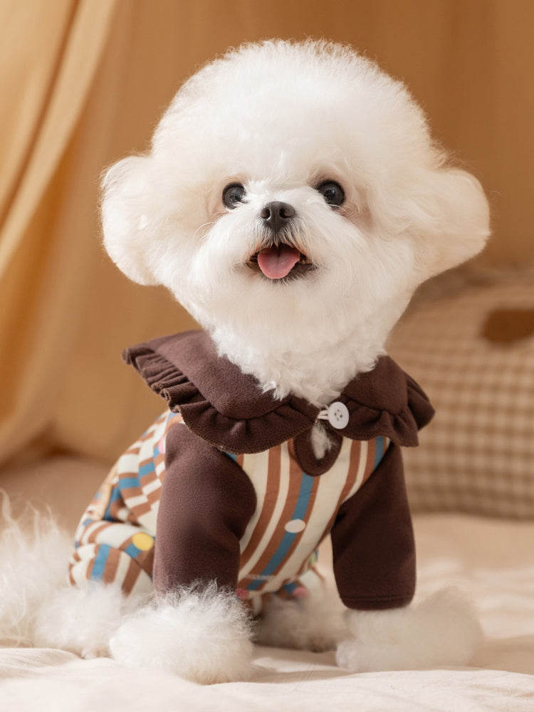 Small white dog wearing brown and beige striped pajamas with a ruffled collar.