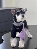 Miniature schnauzer wearing a black and purple dog onesie with a faux chain collar detail.